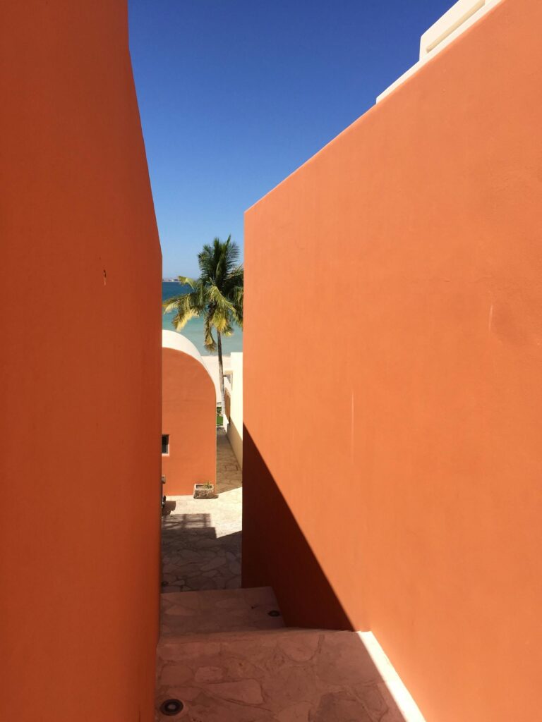 pexels-florencia-clausell-431221521-15265378-2